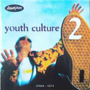 Various - Youth Culture 2