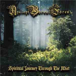 Ancient Boreal Forest - Spiritual Journey Through The Mist