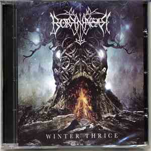 Borknagar - Winter Thrice