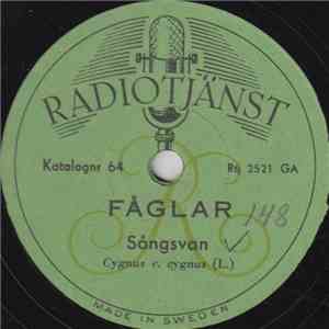 No Artist - Fåglar