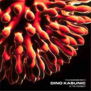 Dino Kasunic - In The Moment