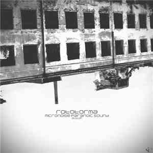 Micronoise Paranoic Sound - Rototorma