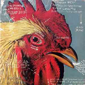 Pavement - Watery, Domestic