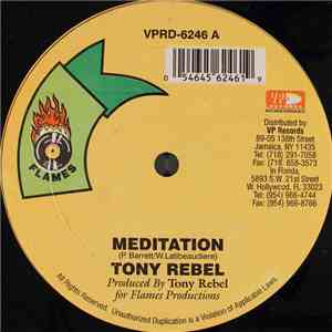 Tony Rebel / Jah Mason - Meditation / Money Dem A Run Down