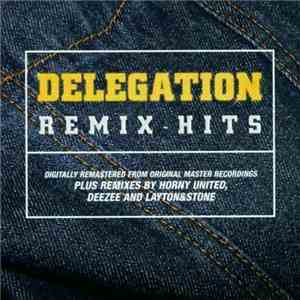 Delegation - Remix Hits