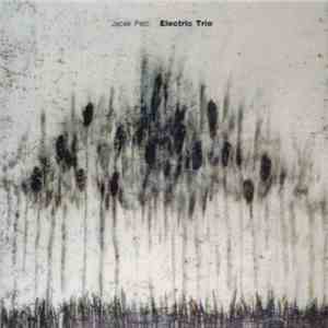 Jacek Pelc - Electric Trio