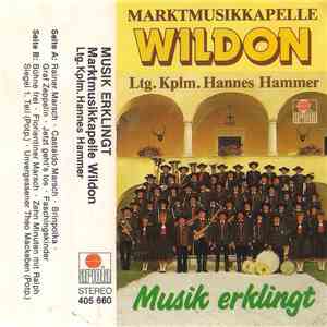 Marktmusikkapelle Wildon, Hannes Hammer - Musik Erklingt