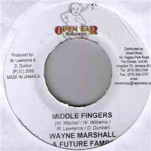 Munga / Wayne Marshall & Future Fambo - Fit And Healthy / Middle Fingers