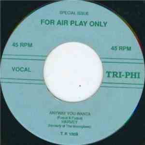 The Challengers / Harvey - Honey, Honey, Honey / Anyway You Wanta
