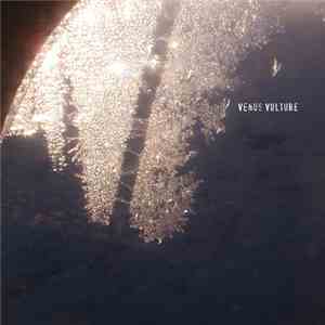 Venus Vulture - Signal Artifacts