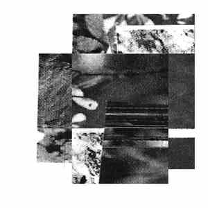 Alocasia Garden - Actions