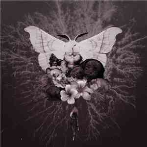 Celestial Grave - Pvtrefactio