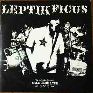 Leptik Ficus - Sale Ambiance