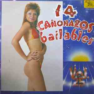 Various - 14 Cañonazos Bailables Vol. 25