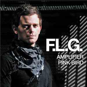 FLG - Amplifier