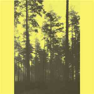 Isorinne - 1980