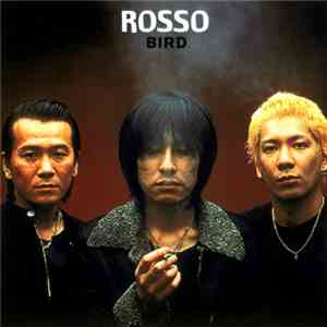 Rosso  - Bird