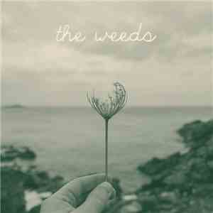 The Weeds  - Roots/Routes