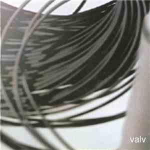 Valv - Ammonite