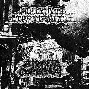 Audición Irritable / Atrofia Cerebral - Split