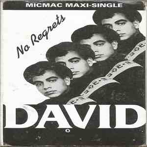 David - No Regrets