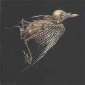 Jenny Hval & Susanna - Meshes Of Voice