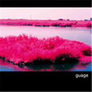 Organ Language - Guage
