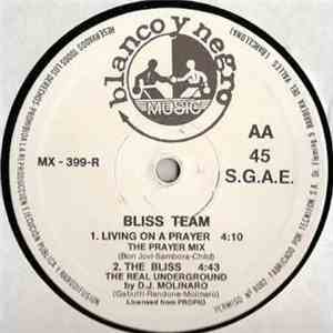 Bliss Team - Livin' On A Prayer