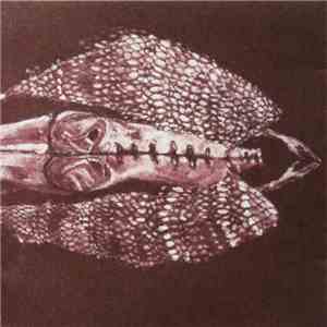 Cerberus Shoal - Homb