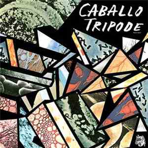 Caballo Tripode - Horror Vacui