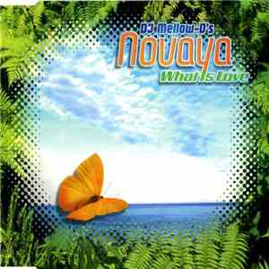 DJ Mellow-D 's Novaya - What Is Love