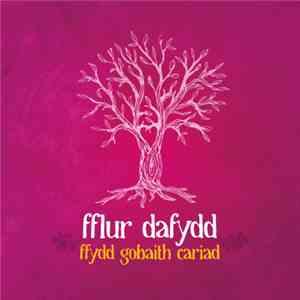 Fflur Dafydd - Ffydd Gobaith Cariad