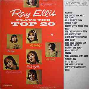 Ray Ellis And His Orchestra - Ray Ellis Plays The Top 20