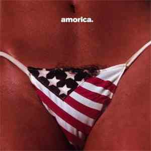 The Black Crowes - Amorica