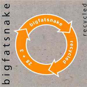 Big Fat Snake - Recycled