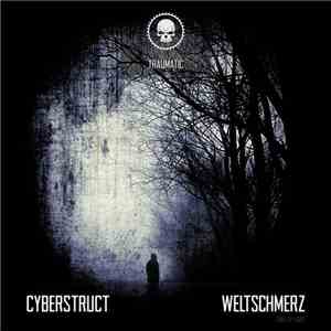 Cyberstruct - Weltschmerz