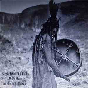 A.L. Guillén, Sergio Arbizu - Molly Bloom.The Electric Bodhrán Pt 1