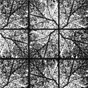 Tattered Syntax - Alone Gone