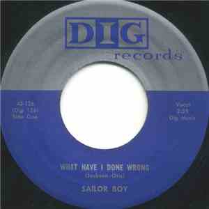 Sailor Boy - What Have I Done Wrong