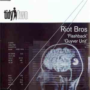 The Riot Brothers - Flashback / Guyver Unit