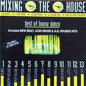 Various - Mixing The House Vol 2