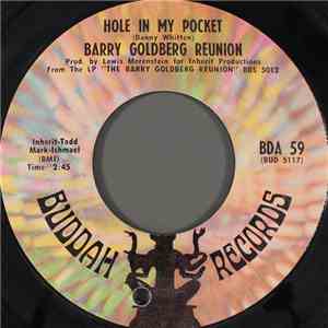 Barry Goldberg Reunion - Hole In My Pocket / Sittin' In Circles
