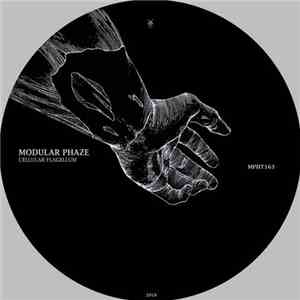 Modular Phaze - Cellular Flagellum