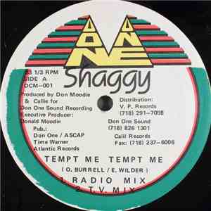 Shaggy - Tempt Me Tempt Me