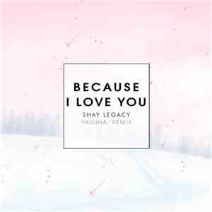 Shay Legacy - Because I Love You (Yasuha. Remix)