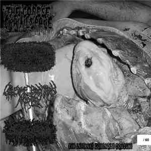 The Corpse In The Crawlspace / Gruesome Bodyparts Autopsy / Mutilated Travesti On The Road / Varanus Komodoensis - The Infernal Gorenoise Torture