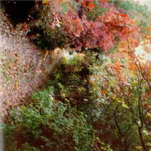 The Forgotten  - To Walk The Forest Black