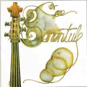 Tarentule - Tarentule