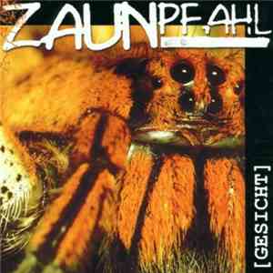Zaunpfahl - Gesicht
