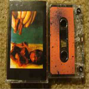 Cracked Dome - Immaculate Abortion